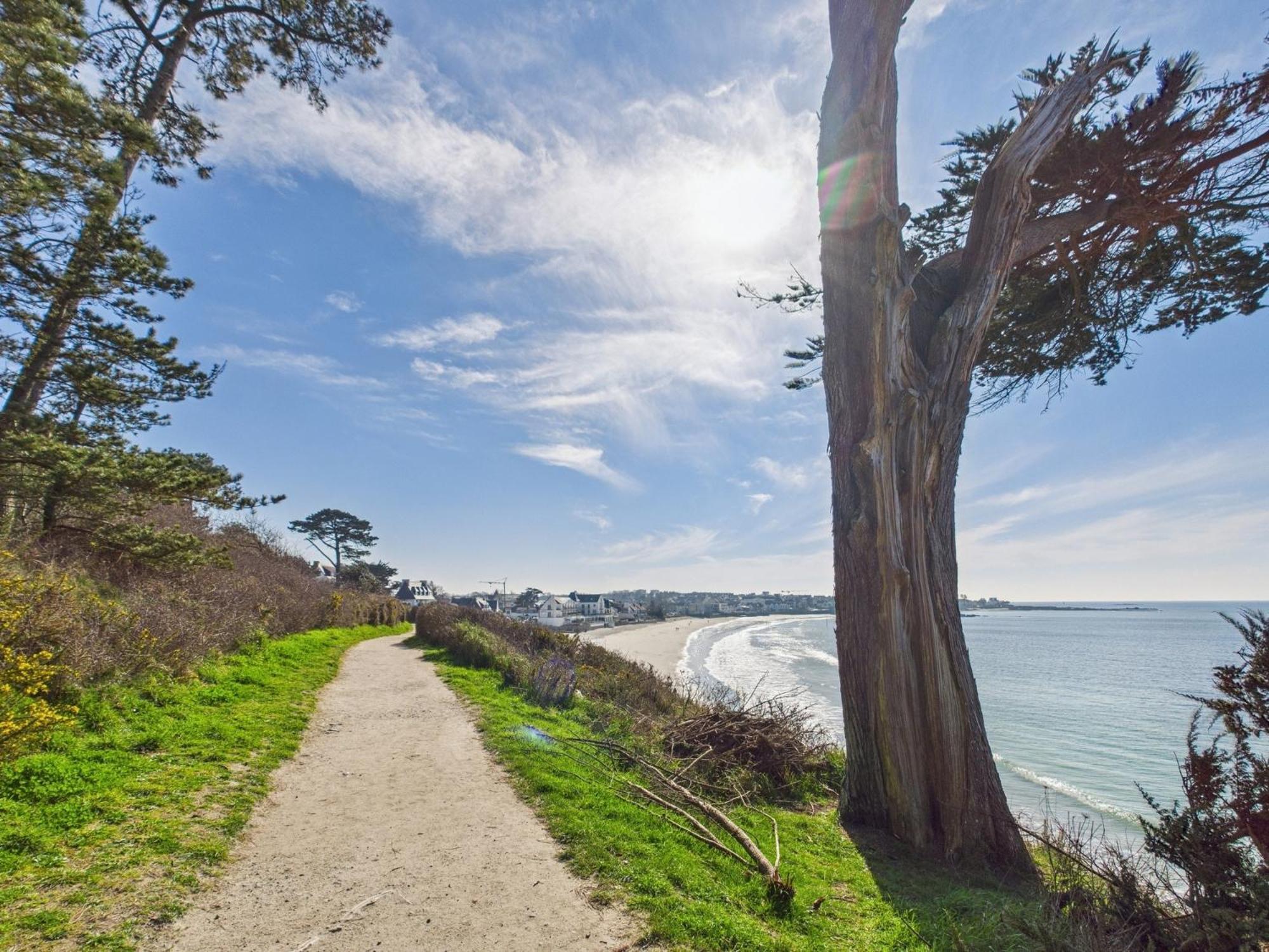 -Le Sentier- Elegant T3 Avec Jardin Proche Mer Concarneau Exteriör bild